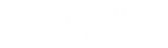 PANHANDEL Logo